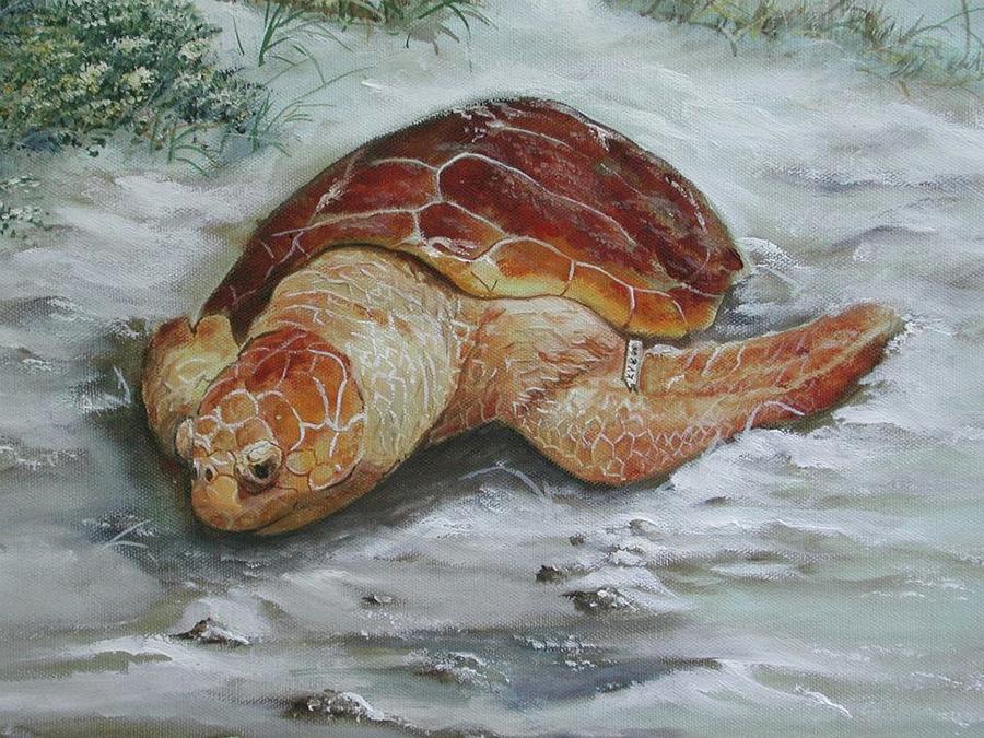 Loggerhead Turtle - St. George Island Painting by Teresa Trotter