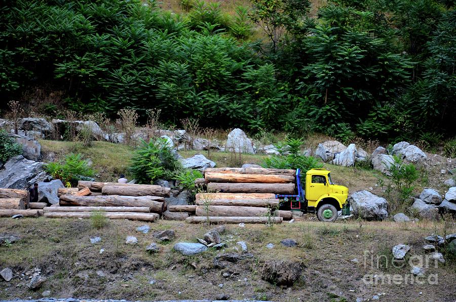 Loggers loading tree trunks onto yellow truck on mountainside Kaghan Pakistan Photograph by Imran Ahmed