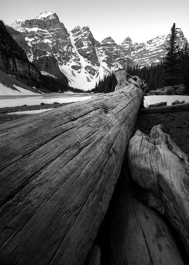 Logs Along Moraine Lake Photograph by Matt Hammerstein