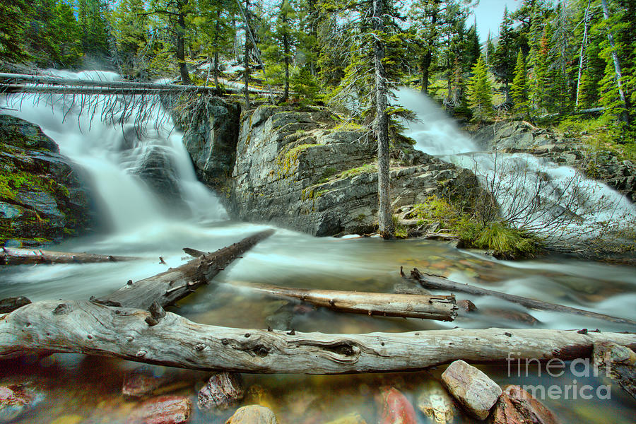 Logs Below Twin Falls Photograph by Adam Jewell