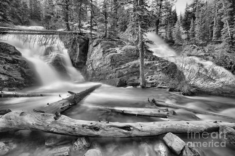 Logs Below Twin Falls Black And White Photograph by Adam Jewell