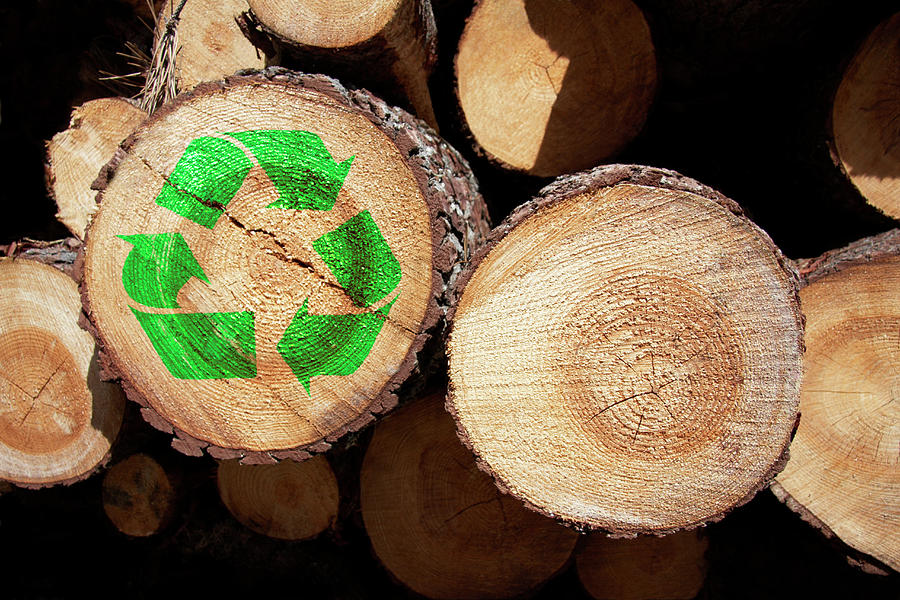 Logs, One With A Recycling Sign On It Photograph by Luxx Images