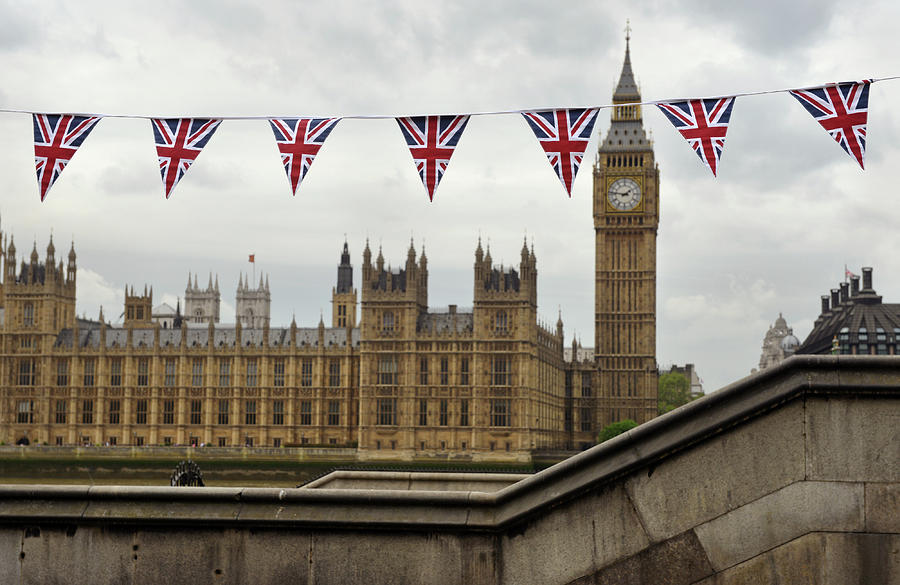 London Bunting Photograph by Oversnap