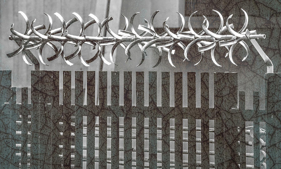 London Fence Abstract Photograph by Marcy Wielfaert