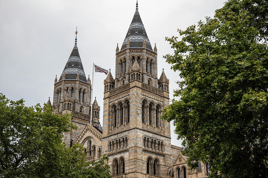 London Natural History Museum  Photograph by John McGraw