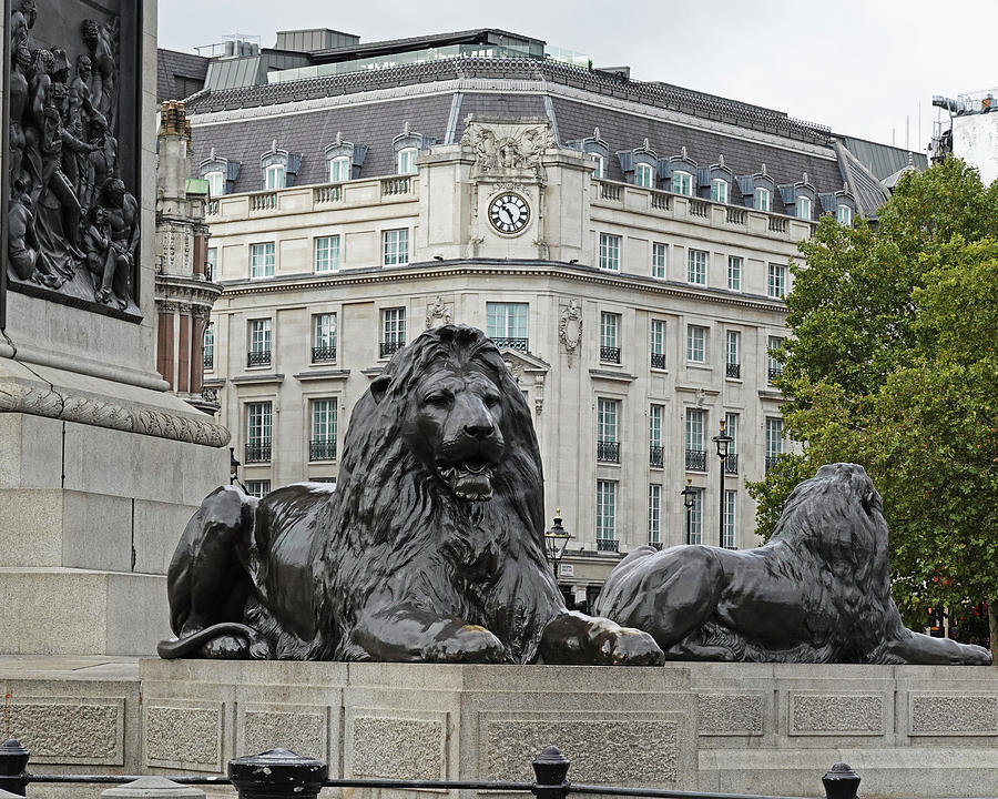 London UK Trafalgar Square Lion Statue and Fountain United Kingdom Architecture Photograph by Toby McGuire