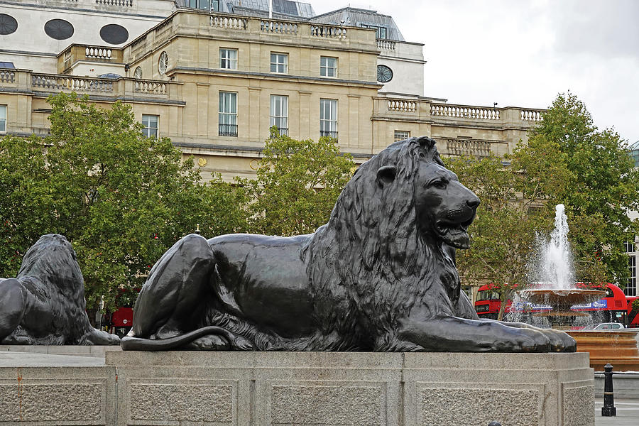 London UK Trafalgar Square Lion Statue and Fountain United Kingdom Photograph by Toby McGuire
