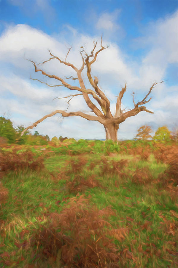 Lone Ancient Tree 3 Digital Art by Roy Pedersen