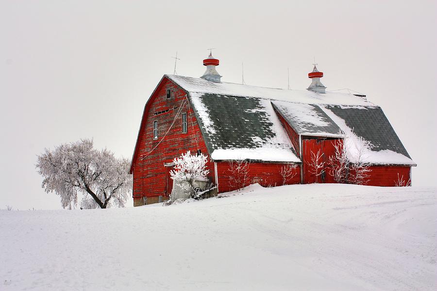 Lone Barn Photograph by David Matthews