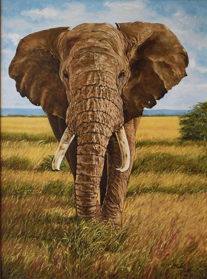 Lone Bull Elephant Painting by Charles Berry