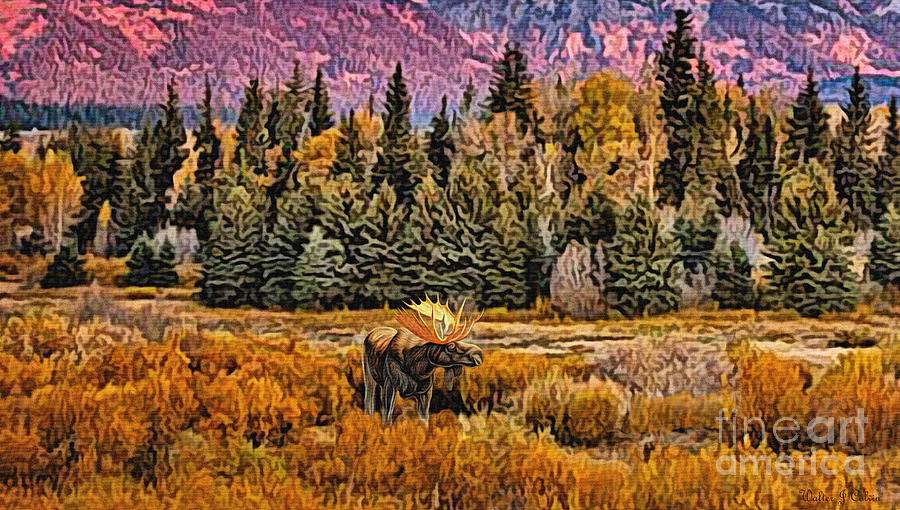 Lone Bull Moose Digital Art by Walter Colvin