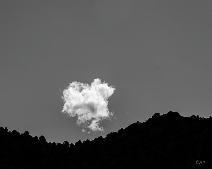 Lone Cloud II BW Photograph by David Gordon