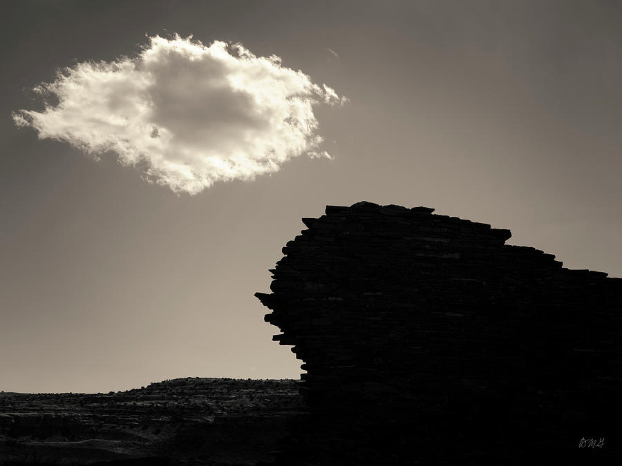 Lone Cloud III Toned Photograph by David Gordon