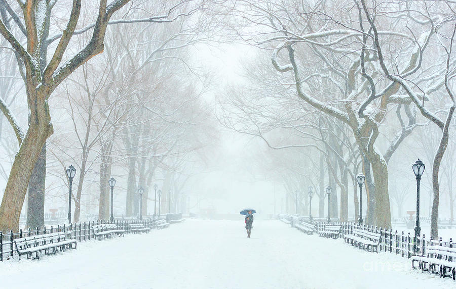 Lone figure walking in Central Park with snow falling Photograph by Tom ...