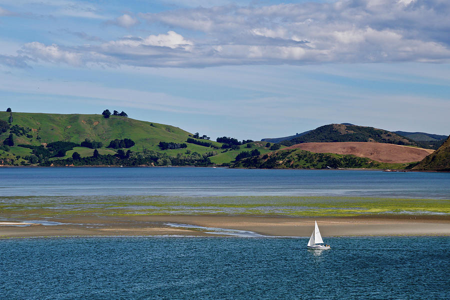 Boat Photograph - Lone Sailor In New Zealand by Susan Vizvary Photography