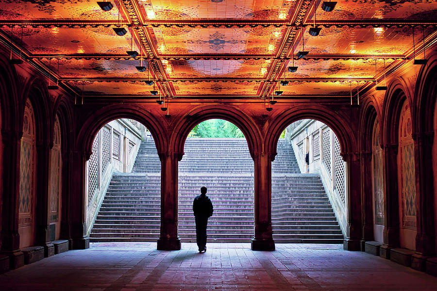 Lone Traveler Through Central Park Photograph by Raqeebul Ketan