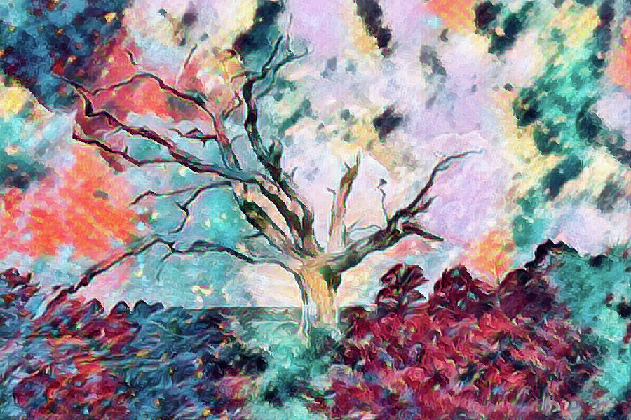 Abstract Digital Art - Lone Tree Colorful Abstract by Roy Pedersen