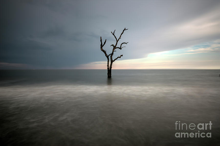 Lone Tree, Hunting Island State Park, South Carolina, Long Exposure Photograph by Felix Lai
