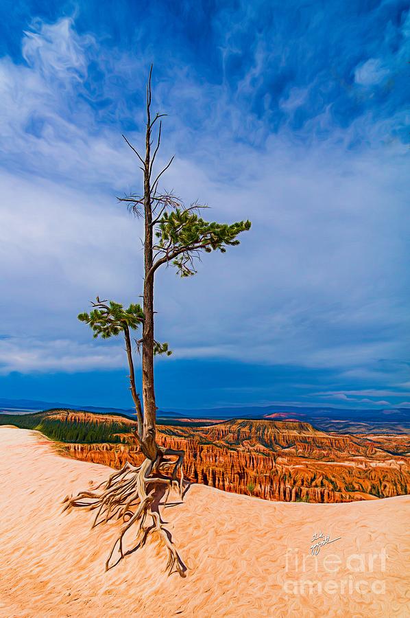 Lone Tree in Bryce Canyon Photograph by TK Goforth