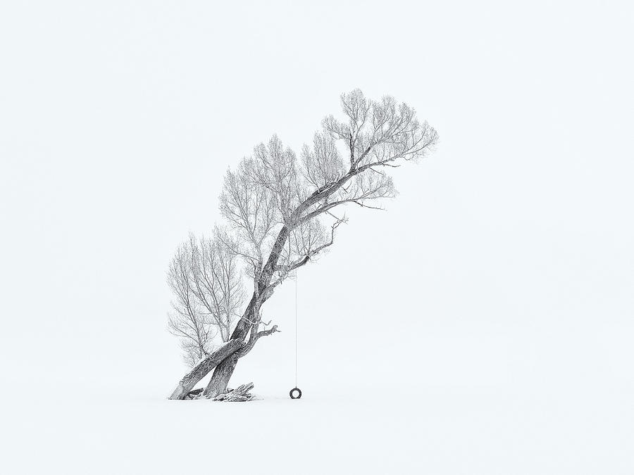 Winter Photograph - Lone Tree In Winter (black/white) by Mei Xu