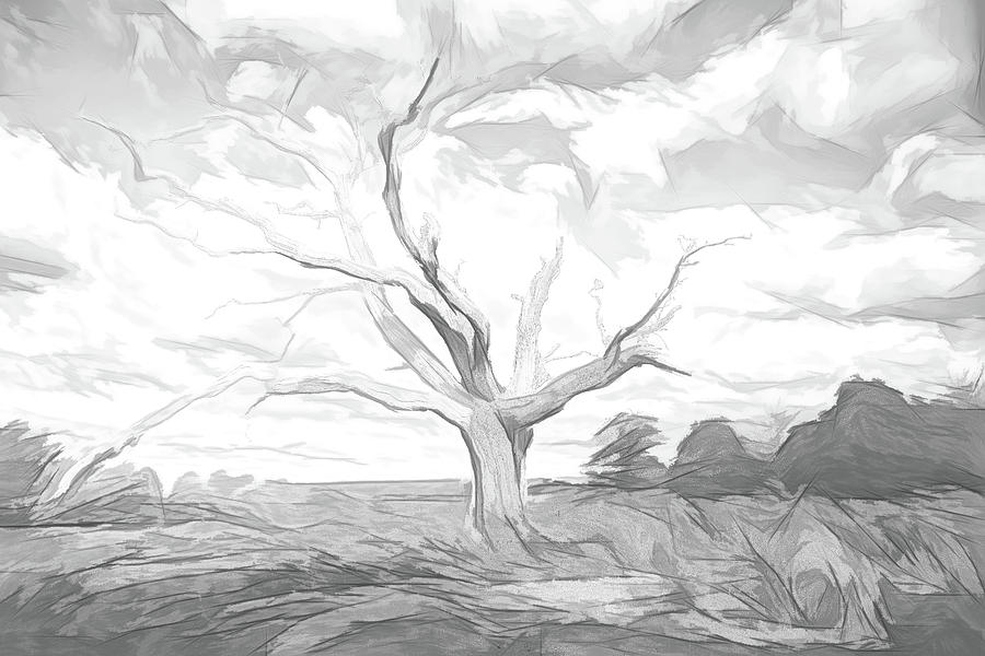 Lone Tree Sketch Digital Art by Roy Pedersen