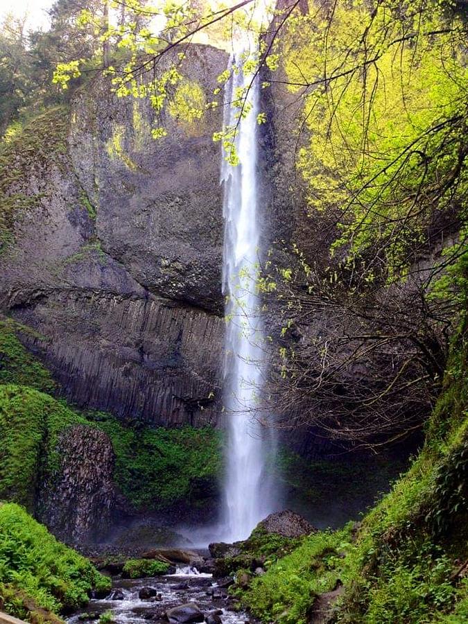 Lone Waterfall Photograph by Harvest Moon Photography By Cheryl Ellis ...