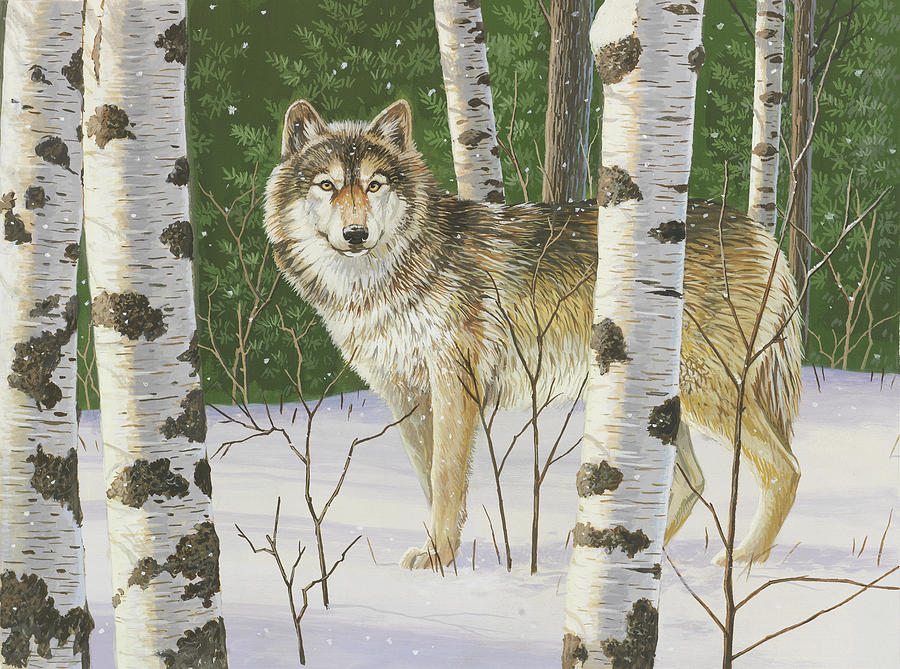 Lone Wolf Painting By William Vanderdasson - Pixels