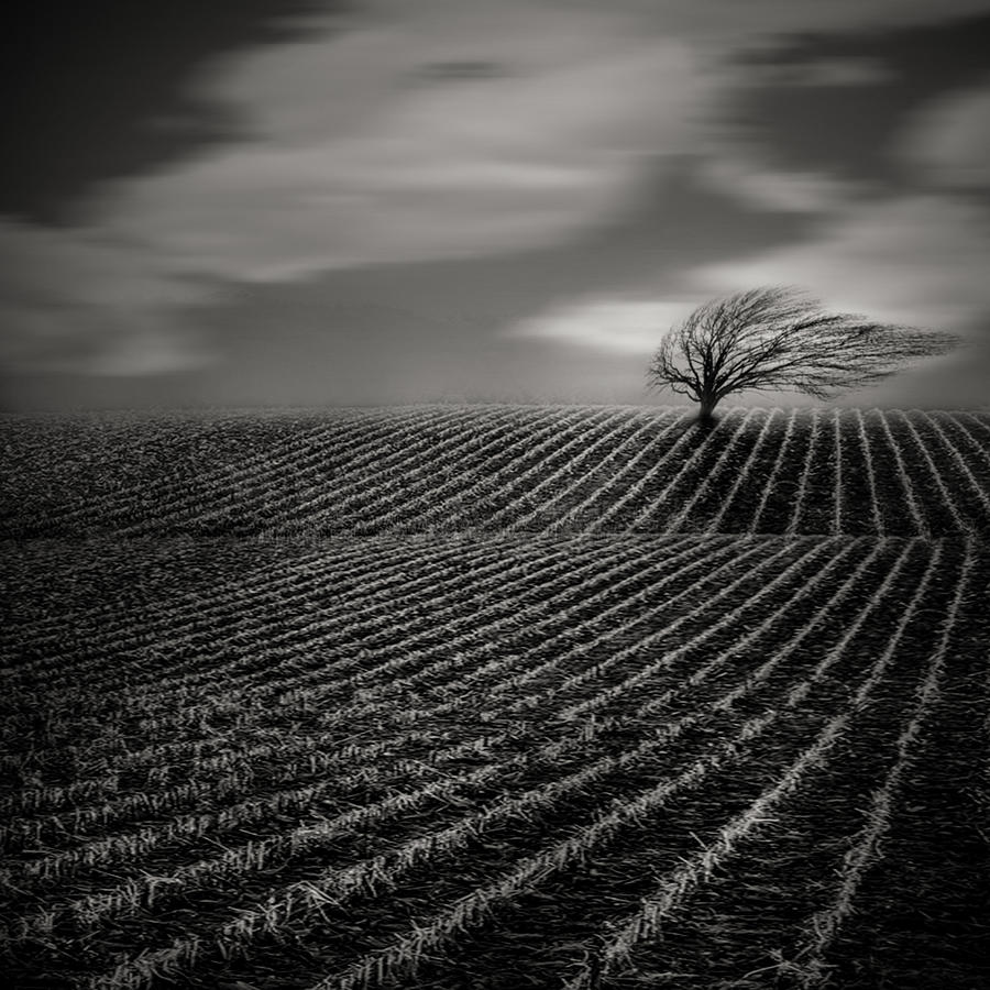 Black And White Photograph - Loneliness by Agniribe