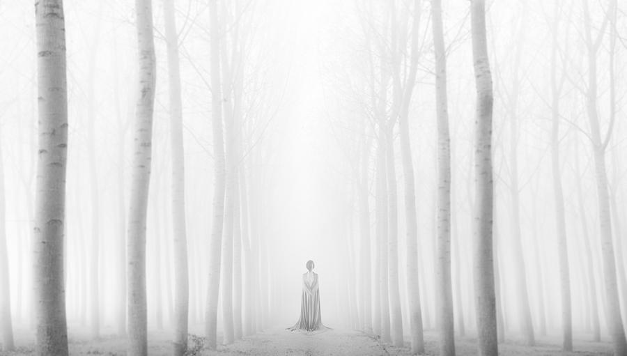 Loneliness Photograph by Patrick Odorizzi