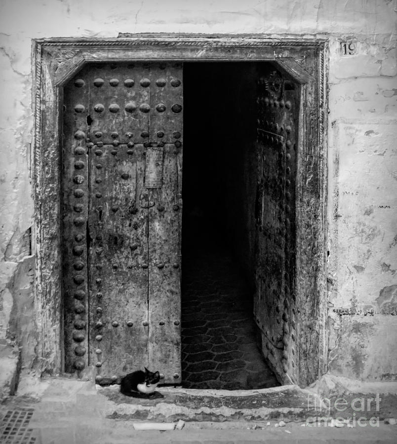 Lonely Cat Footsteps Ancient Door Fes Morocco BW  Photograph by Chuck Kuhn