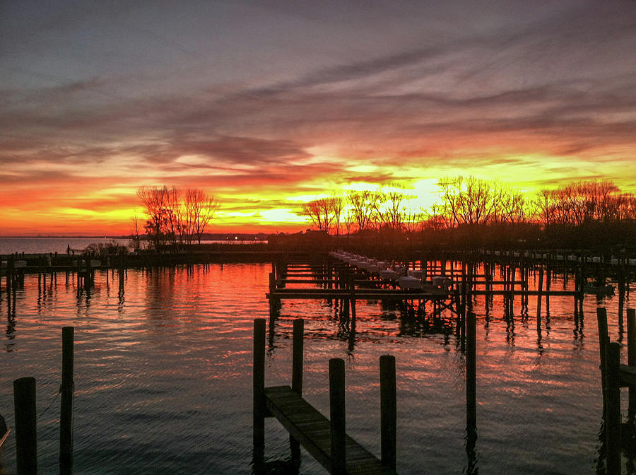 Lonely Fall Marina Photograph by Lloyd Gillies Lonely Fall Marina Photograph by Lloyd Gillies