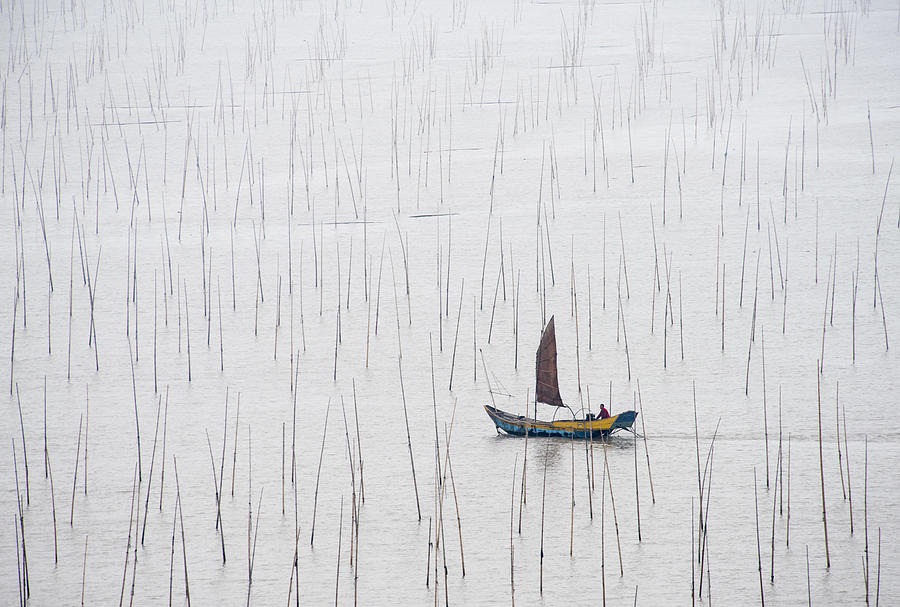 Fisherman Photograph - Lonely Fisherman by Xinhua Zhou