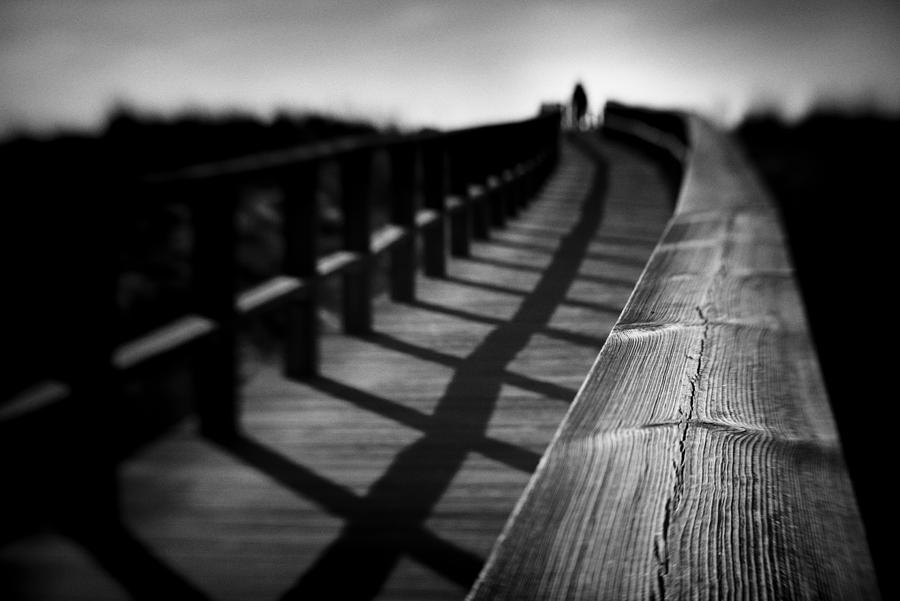 Lonely Photograph - Lonely Rails by Nuno Borges