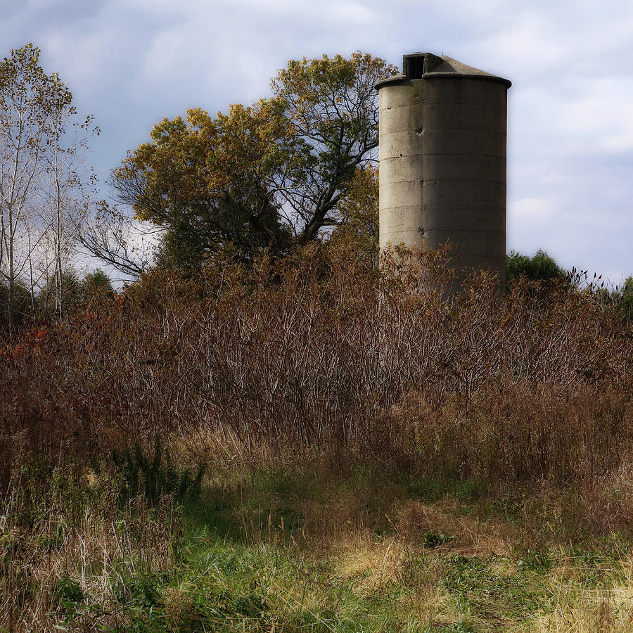 Lonely Silo Photograph by Scott Kingery
