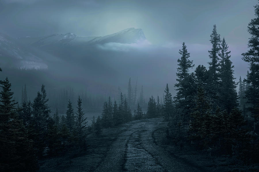 Lonely Trails Photograph by Dan Jurak