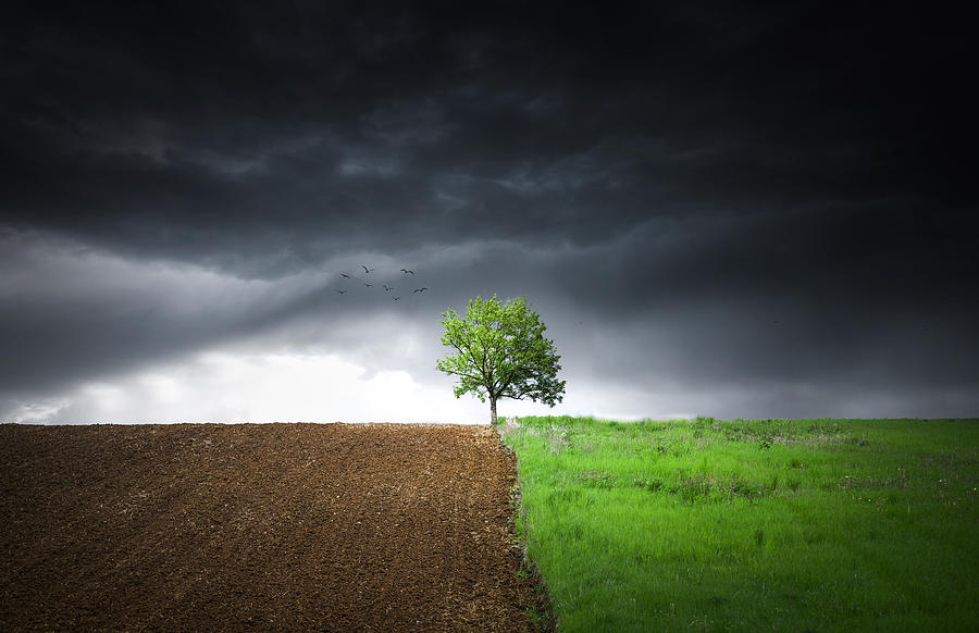 Tree Photograph - Lonely Tree Against A Dramatic Sky! by Bess Hamiti