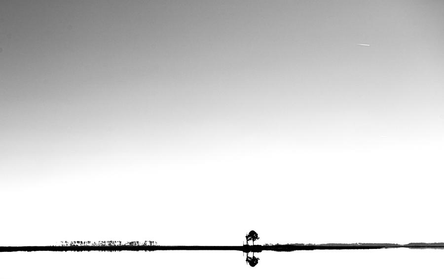 Black And White Photograph - Lonely Tree by Fred Walker