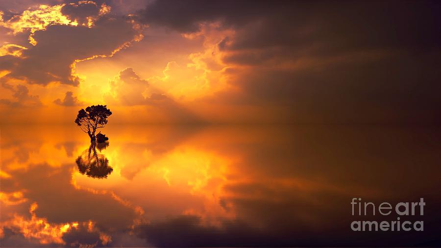 Lonely Tree In Lake At Sunset Reflection Ultra HD Photograph By Hi Res ...