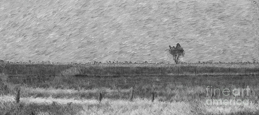 Lonely Tree Pano Painterly Grayscale Mixed Media by Jennifer White