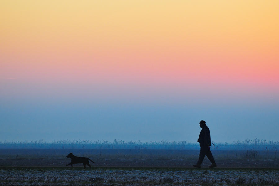 Lonely Winter Afternoon Dog Walk Photograph by Riekus Reinders