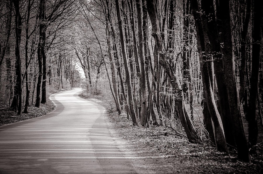 Long and Winding Road - Black and White Photograph by Tito Slack