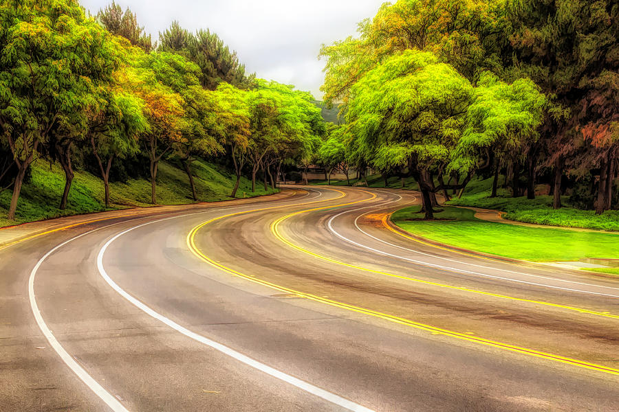 Long and Winding Road 3 Digital Art by Alison Frank