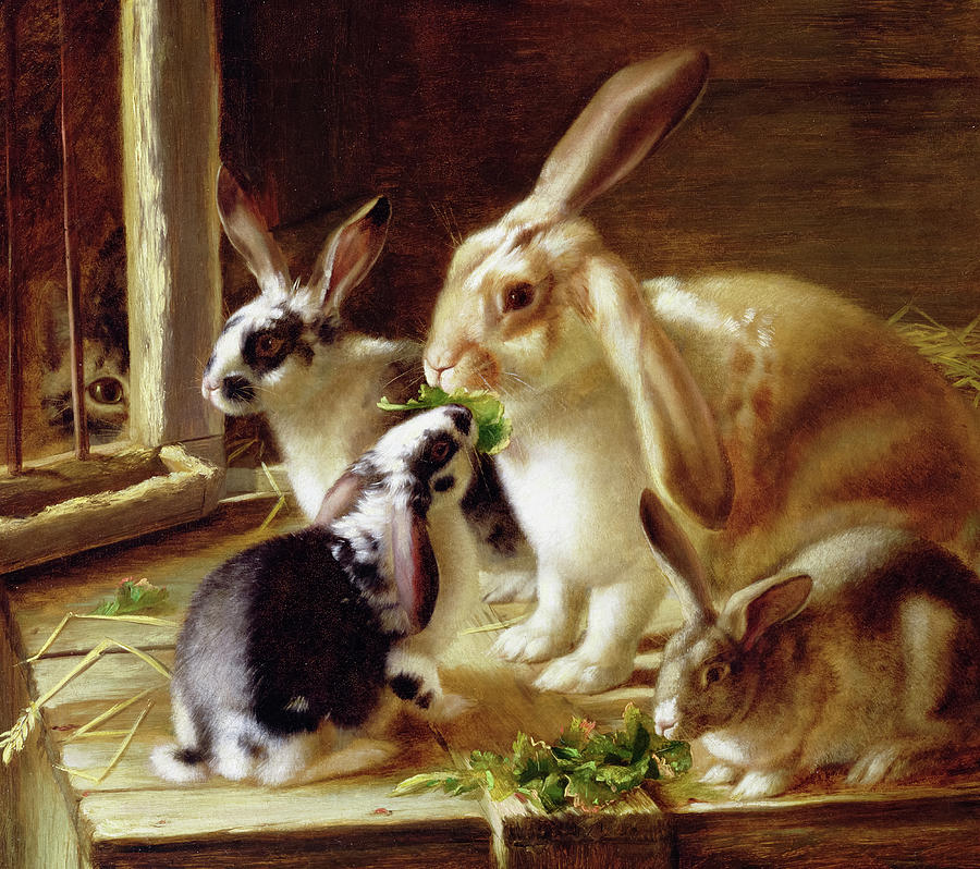 Horatio Henry Couldery Painting - Long-Eared Rabbits in a Cage by Horatio Henry Couldery