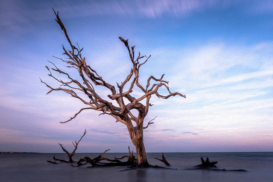 Long Exposure In Driftwood Beach With An Oil Paint Layer Photograph