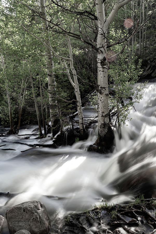 Long Exposure Shot of a Mountain Stream Photograph by Kyle Lee