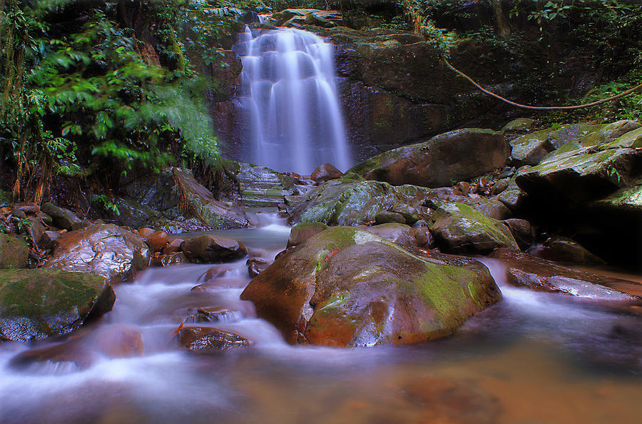 Long Exposure Shot Waterfall At Borneo Photograph by Nora Carol Photography