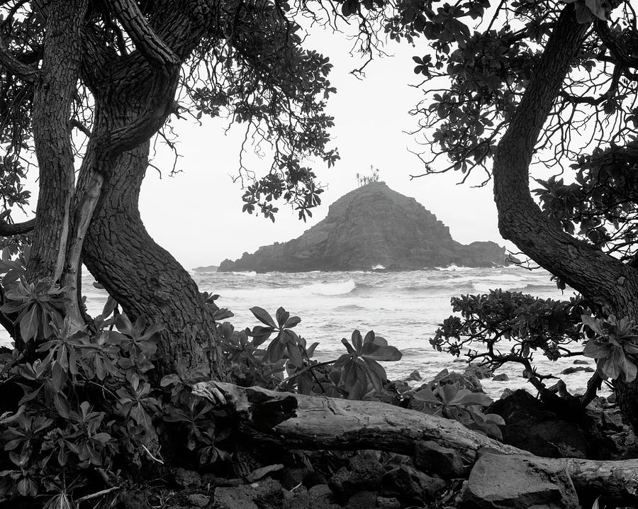 Tree Photograph - Long Hanna Drive, Maui, Hawaii 00 by Monte Nagler