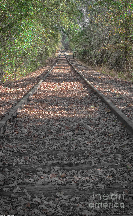 Long Rails Photograph by Mitch Shindelbower