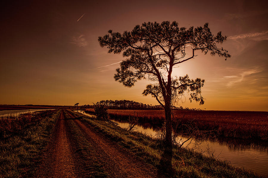 Long Road Home by Pete Federico Long Road Home by Pete Federico