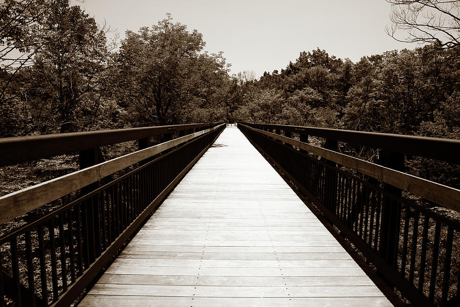 Long Walking Bridge 2 Photograph by Marilyn Hunt - Fine Art America